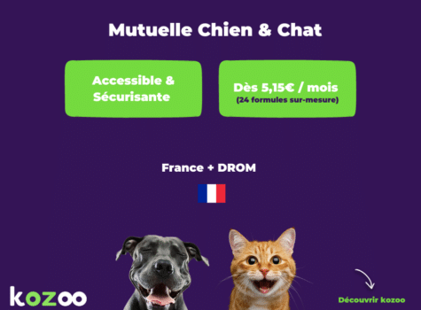 Mutuelle chien et chat kozoo