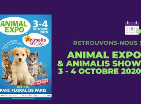 Affiche animal expo 2020