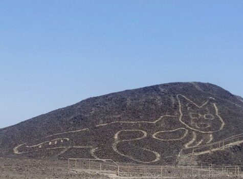 Géoglyphe de chat a nazca