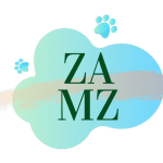 Logo zamz