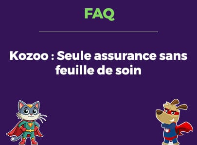 Kozoo : Assurance pour animaux sans feuille de soin