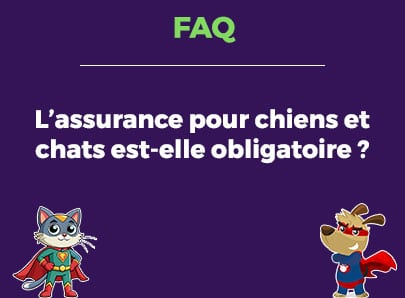 L'assurance pour chien et chat est-elle obligatoire ?