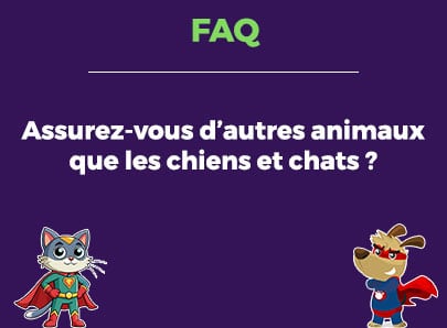 Assurez-vous d'autres animaux que les chiens et chats ?