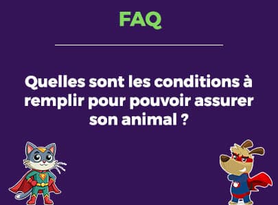 Quelles sont les conditions à remplir pour pouvoir assurer son animal ?