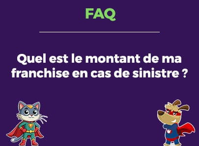 Quel est le montant de ma franchise en cas de sinistre ?