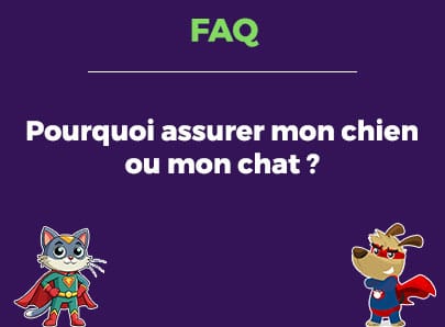 Pourquoi assurer son chien ou chat ?