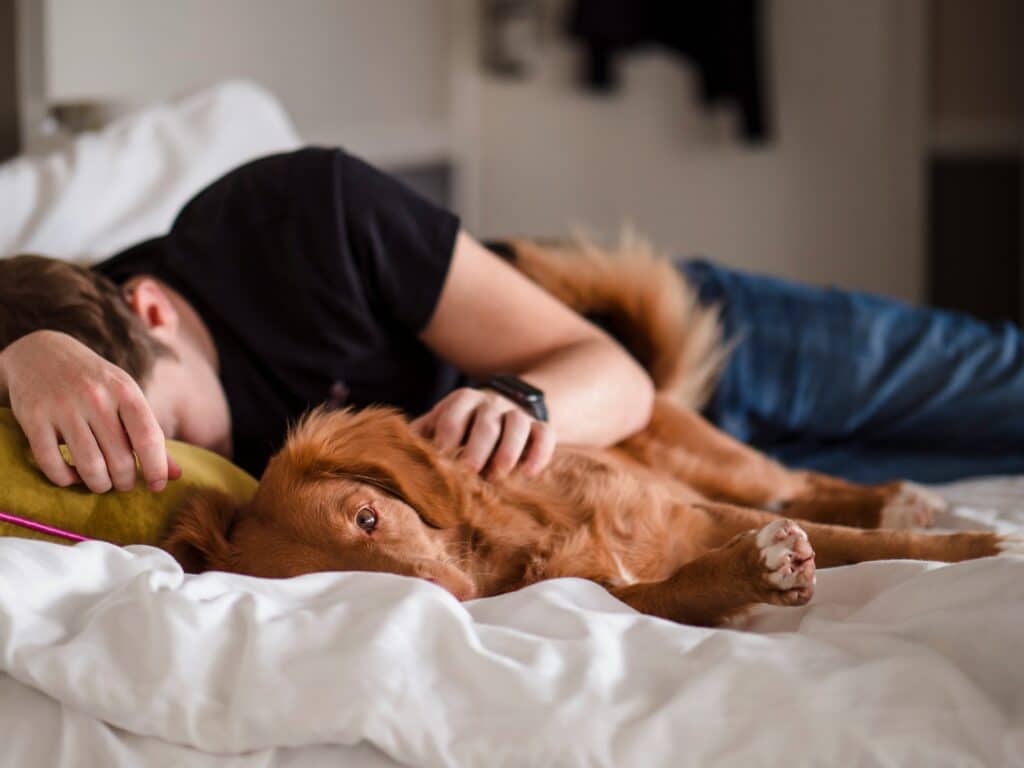 Chien et humain qui sont allongés sur un lit pour dormir