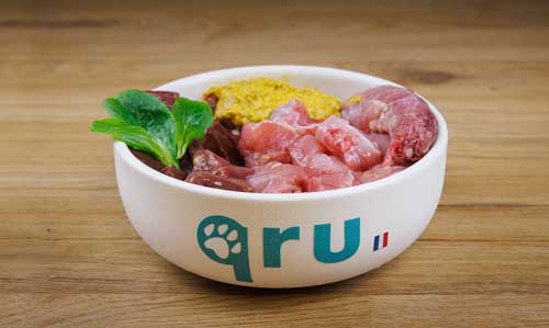 Repas pour chien en morceaux dans une gamelle