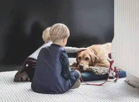 Chien Golden Retriever avec les enfants de la famille dans la maison