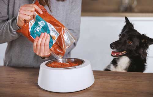 Repas haché pour chien