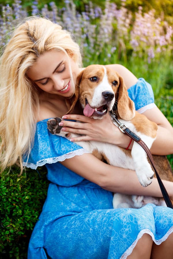 Chien Beagle avec sa maitresse