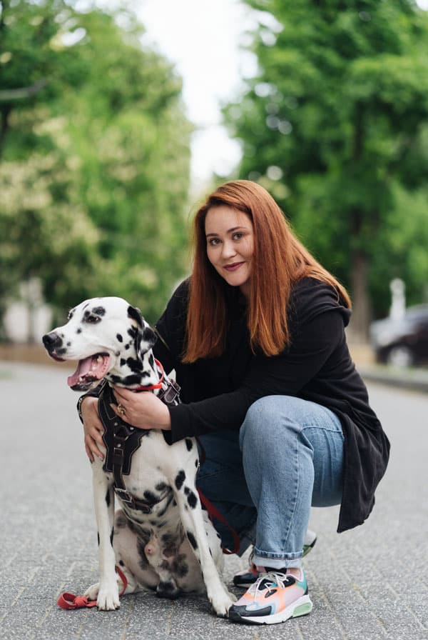 Chien Dalmatien en extérieur