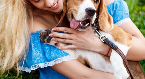 Chien Beagle avec sa maitresse