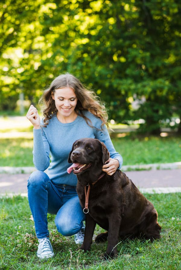 Chien Labrador avec sa propriétaire