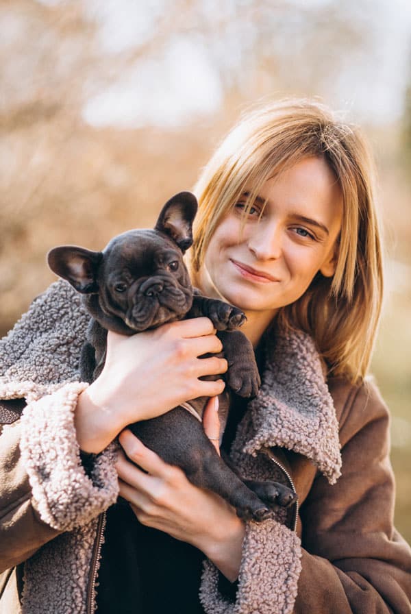 Chiot Bouledogue Français assuré chez kozoo