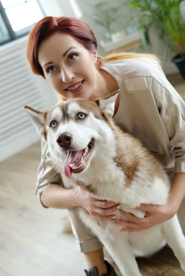 Chien type Husky assuré chez kozoo