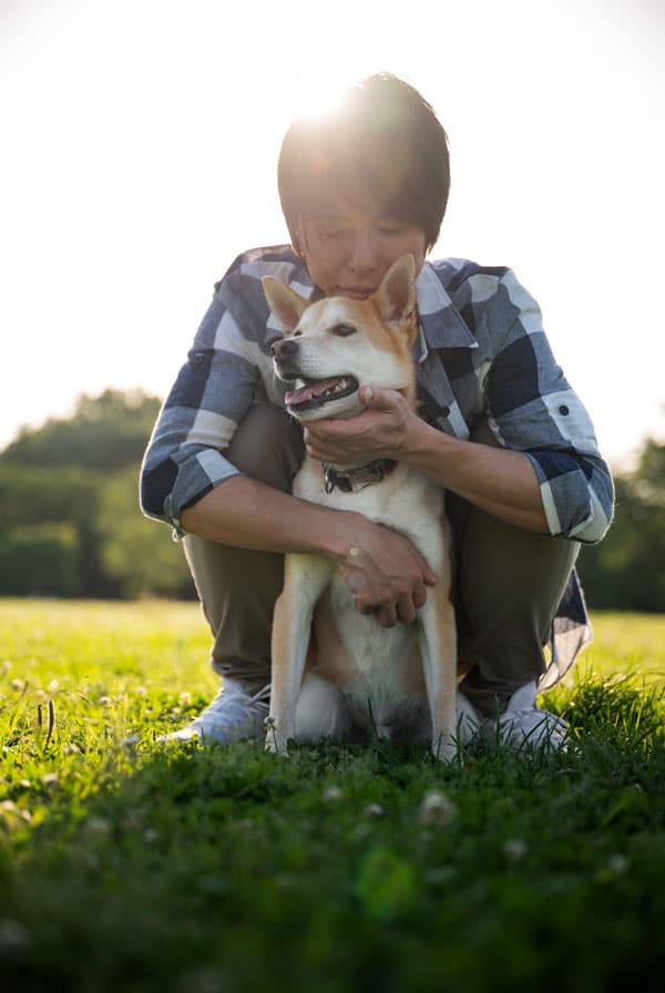 Chien primitif assuré chez kozoo