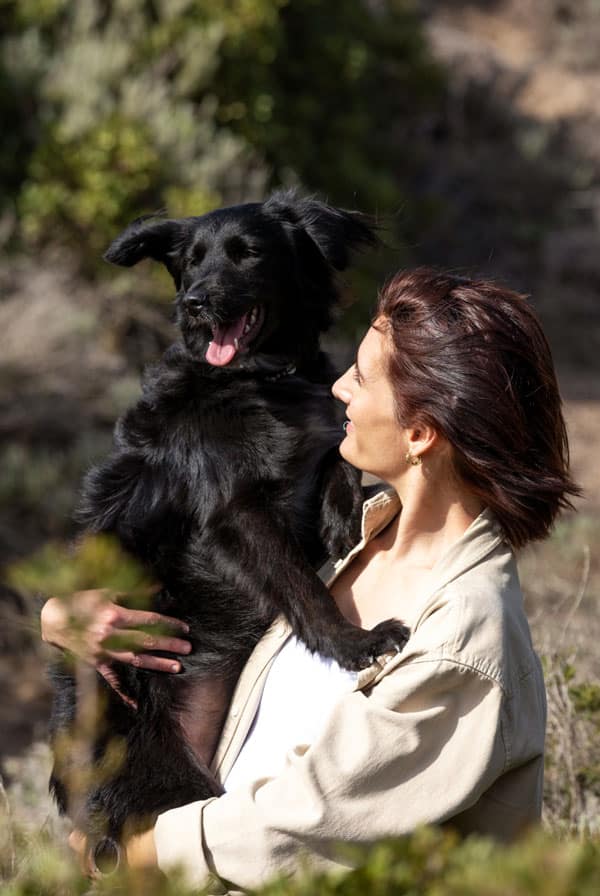 Chien type Berger assuré chez kozoo