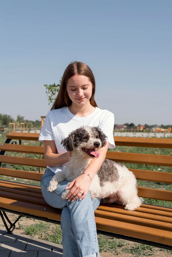 Chien assuré chez kozoo