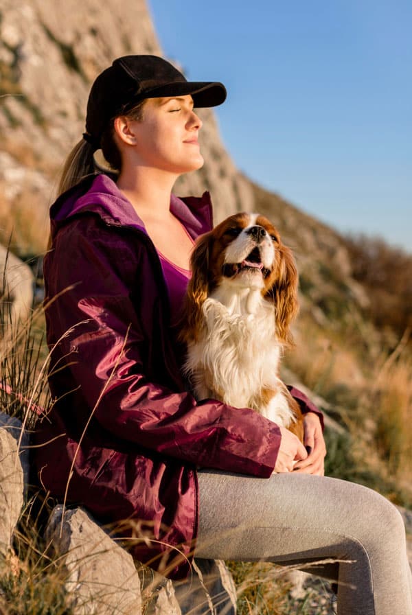 Chien assuré qui bronze au soleil