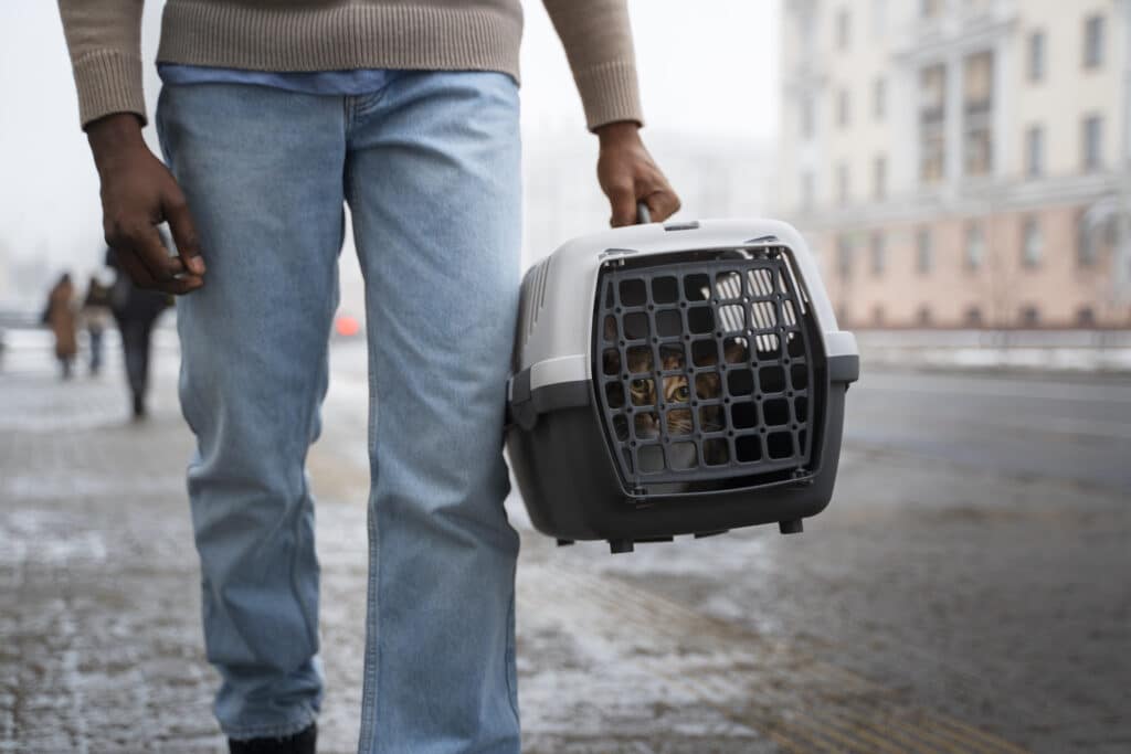 Chat transporté dans une cage en ville 