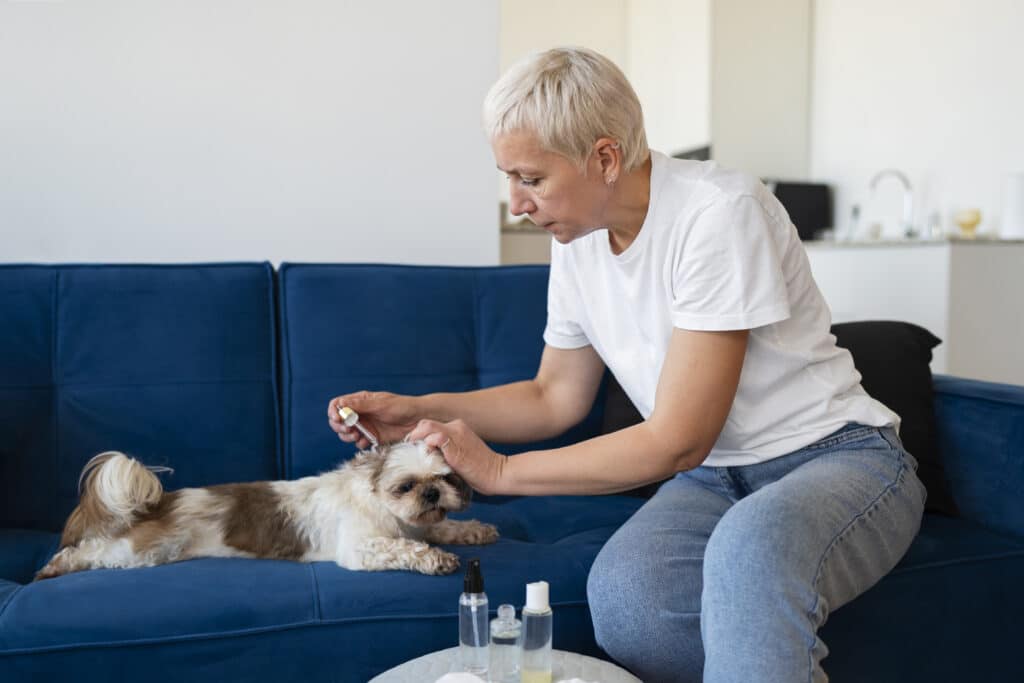 Vétérinaire qui soigne les animaux des intoxications dû aux plantes toxiques