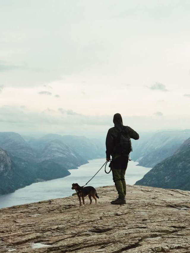 Ville dogfriendly en france pour balader son chien